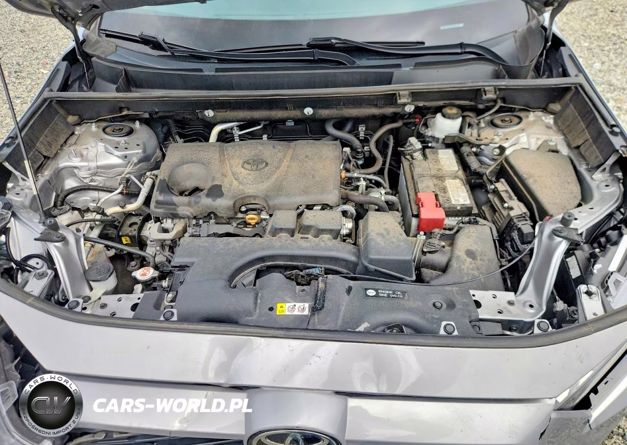 2023 Toyota Rav4 Xle VIN:2T3W1RFV8PC226051 - 11