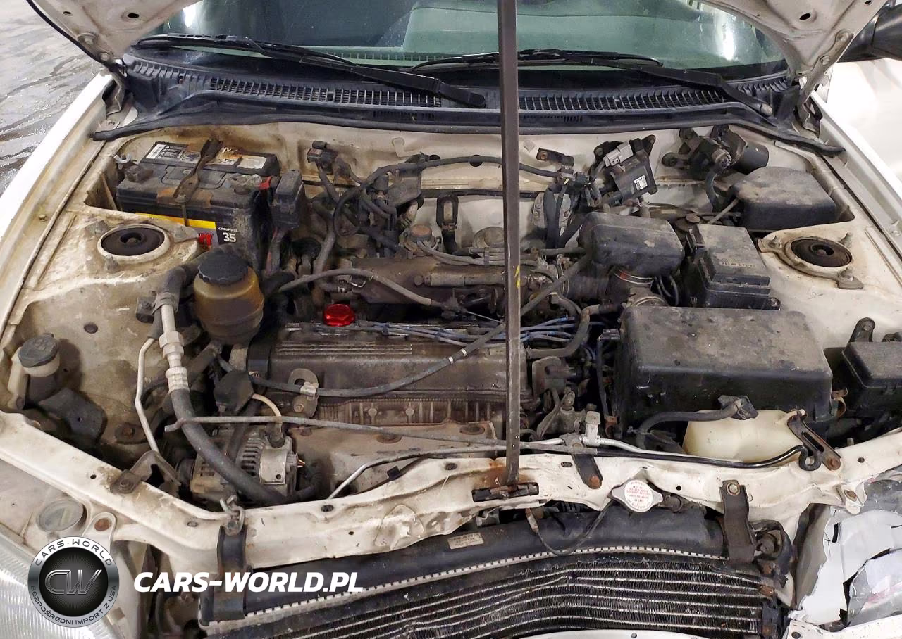 1997 Toyota Rav4 Base VIN:JT3HP10V3V0142905 - 12