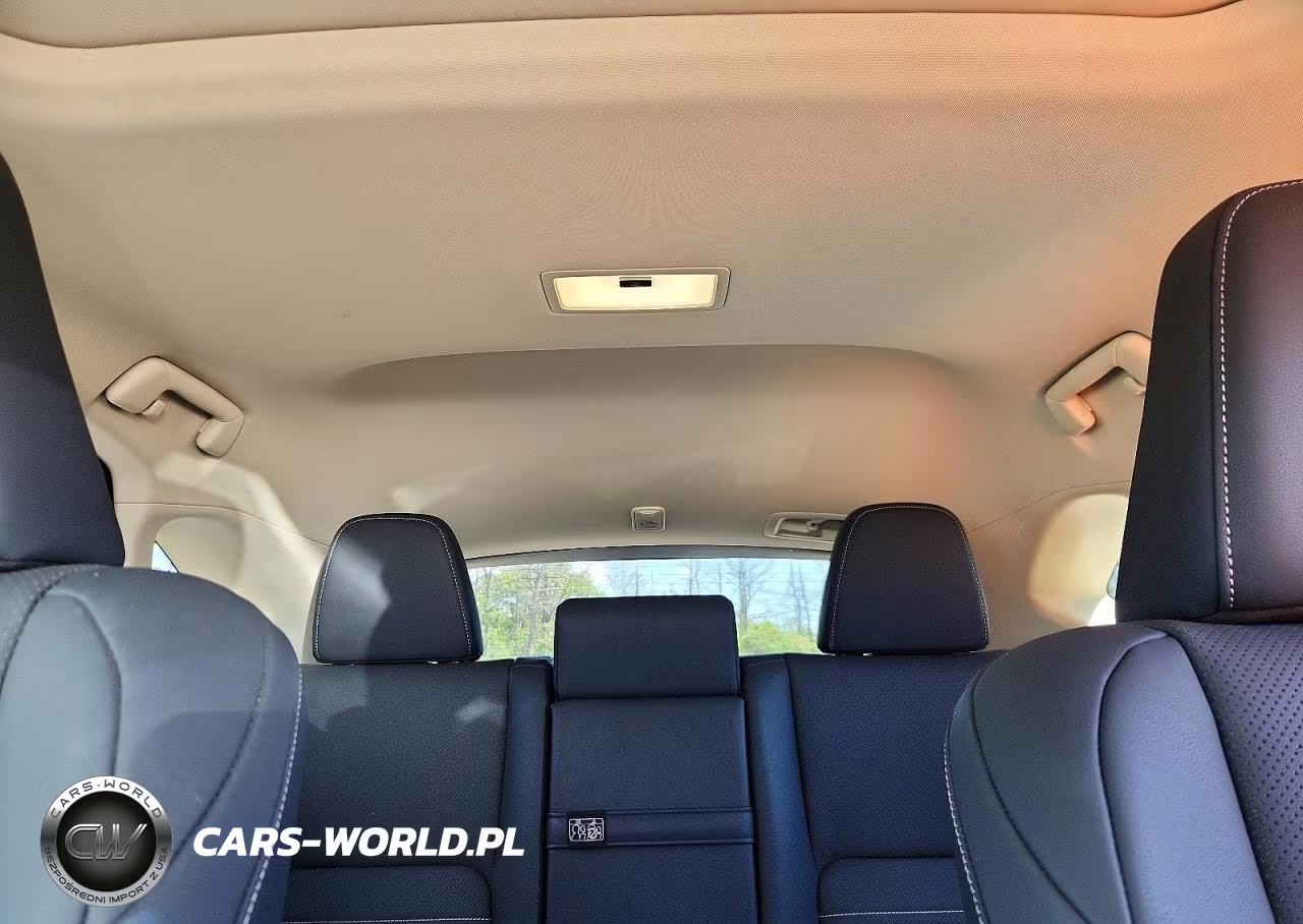 2020 Lexus Nx 300 VIN:JTJDARDZ9L2231366 - 10