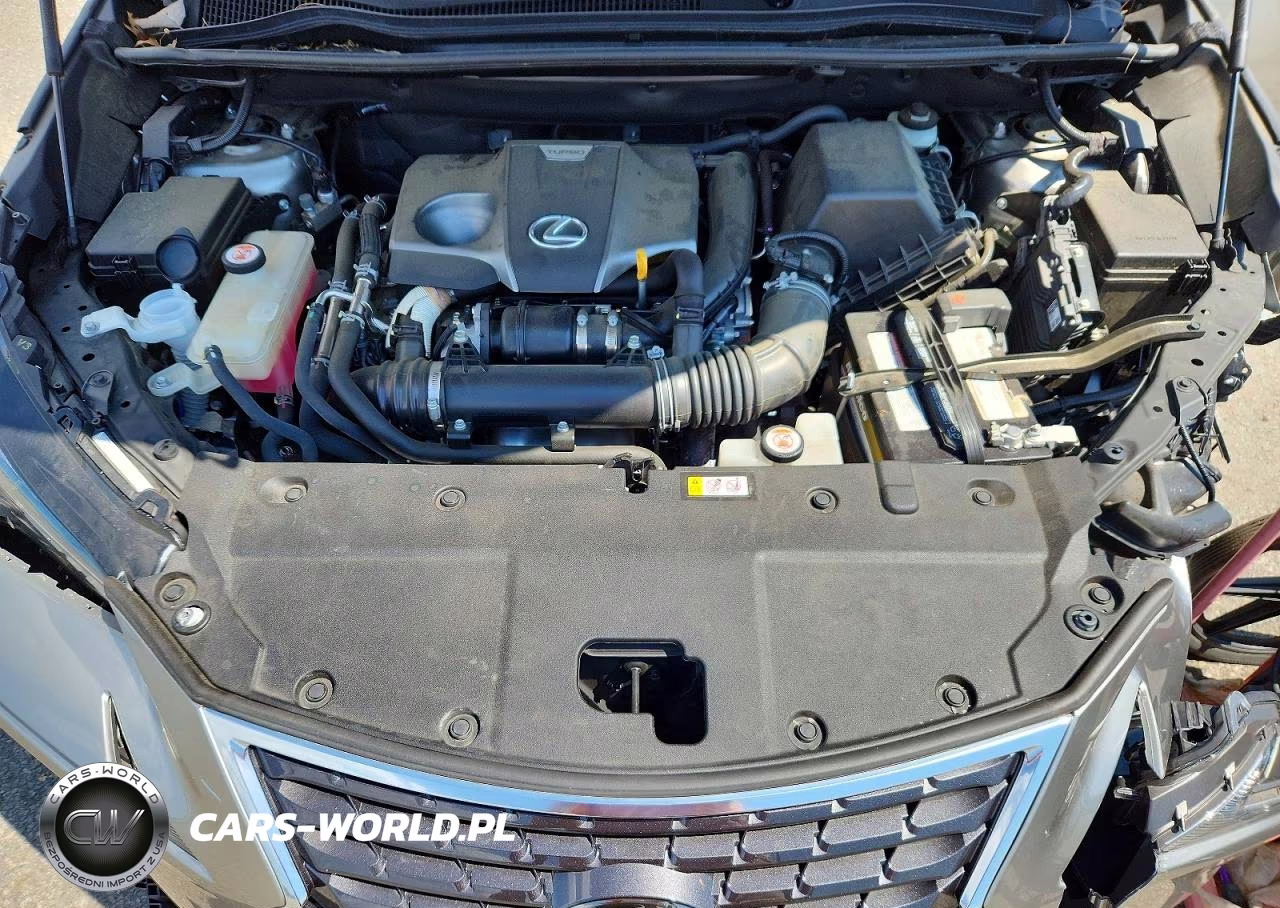 2020 Lexus Nx 300 VIN:JTJDARDZ9L2231366 - 12