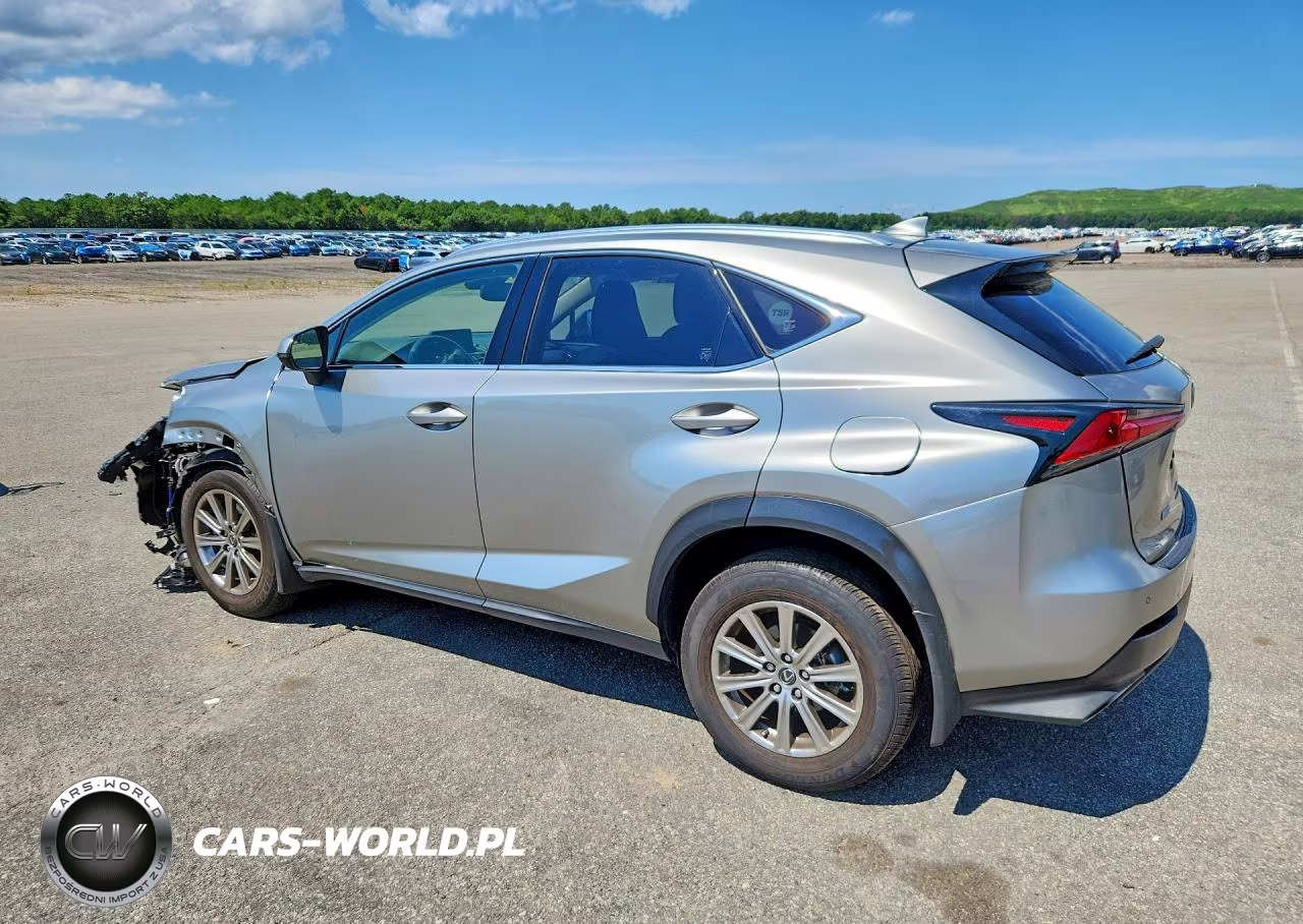 2020 Lexus Nx 300 VIN:JTJDARDZ9L2231366 - 2