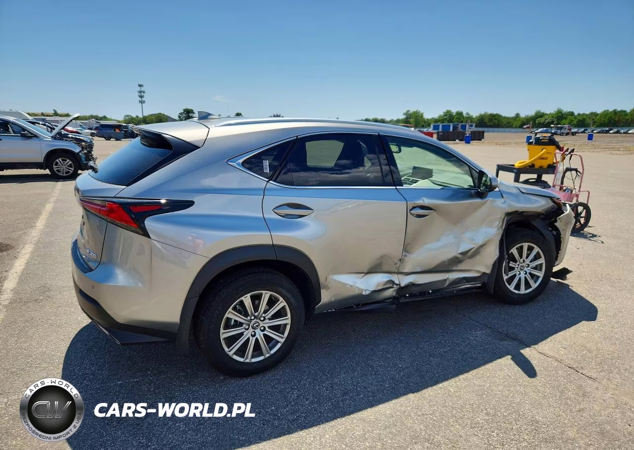 2020 Lexus Nx 300 VIN:JTJDARDZ9L2231366 - 3