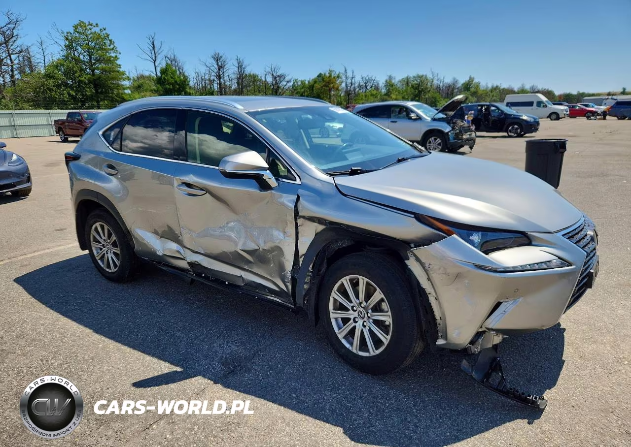 2020 Lexus Nx 300 VIN:JTJDARDZ9L2231366 - 4