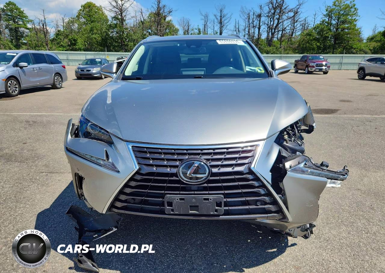 2020 Lexus Nx 300 VIN:JTJDARDZ9L2231366 - 5
