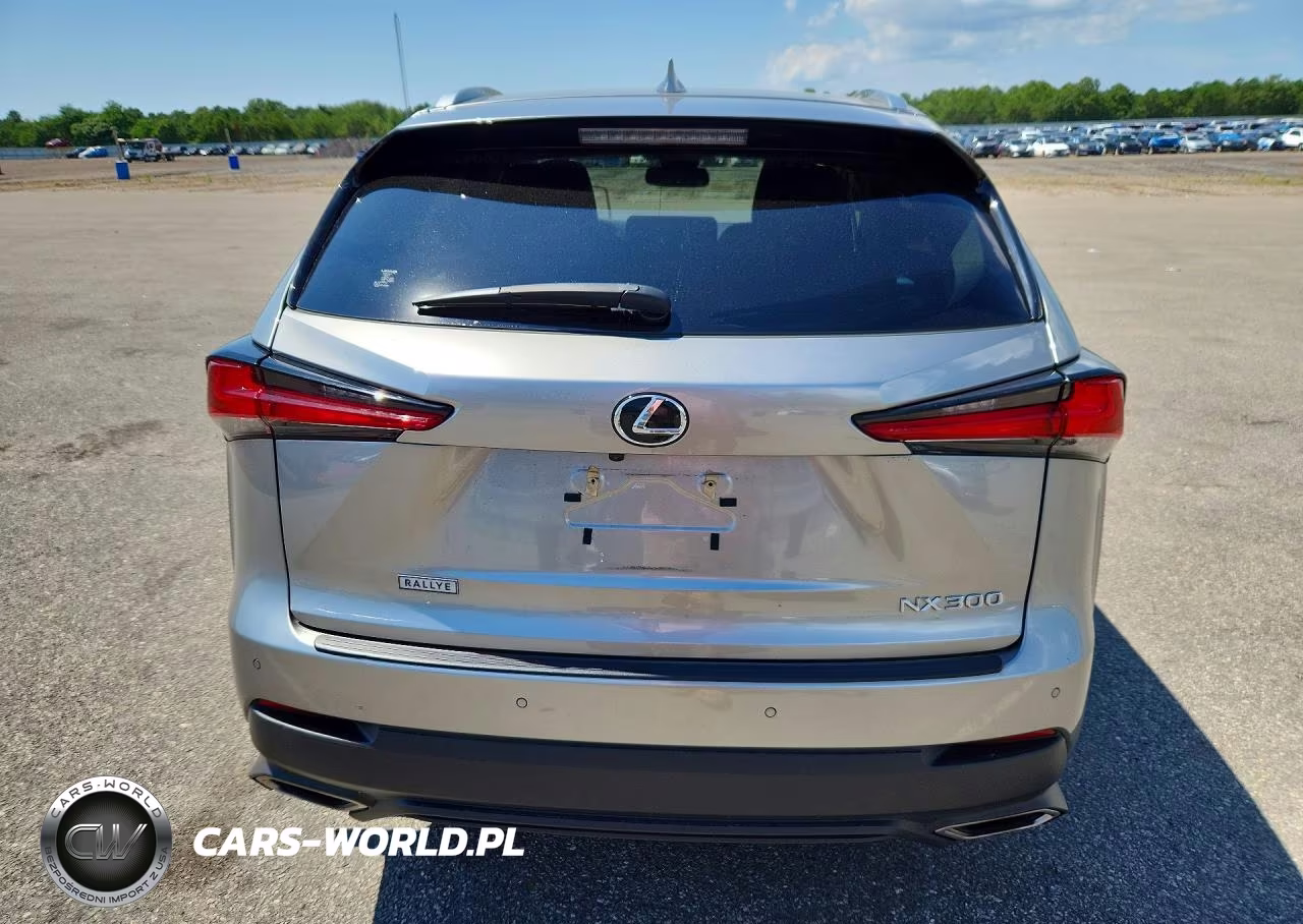 2020 Lexus Nx 300 VIN:JTJDARDZ9L2231366 - 6