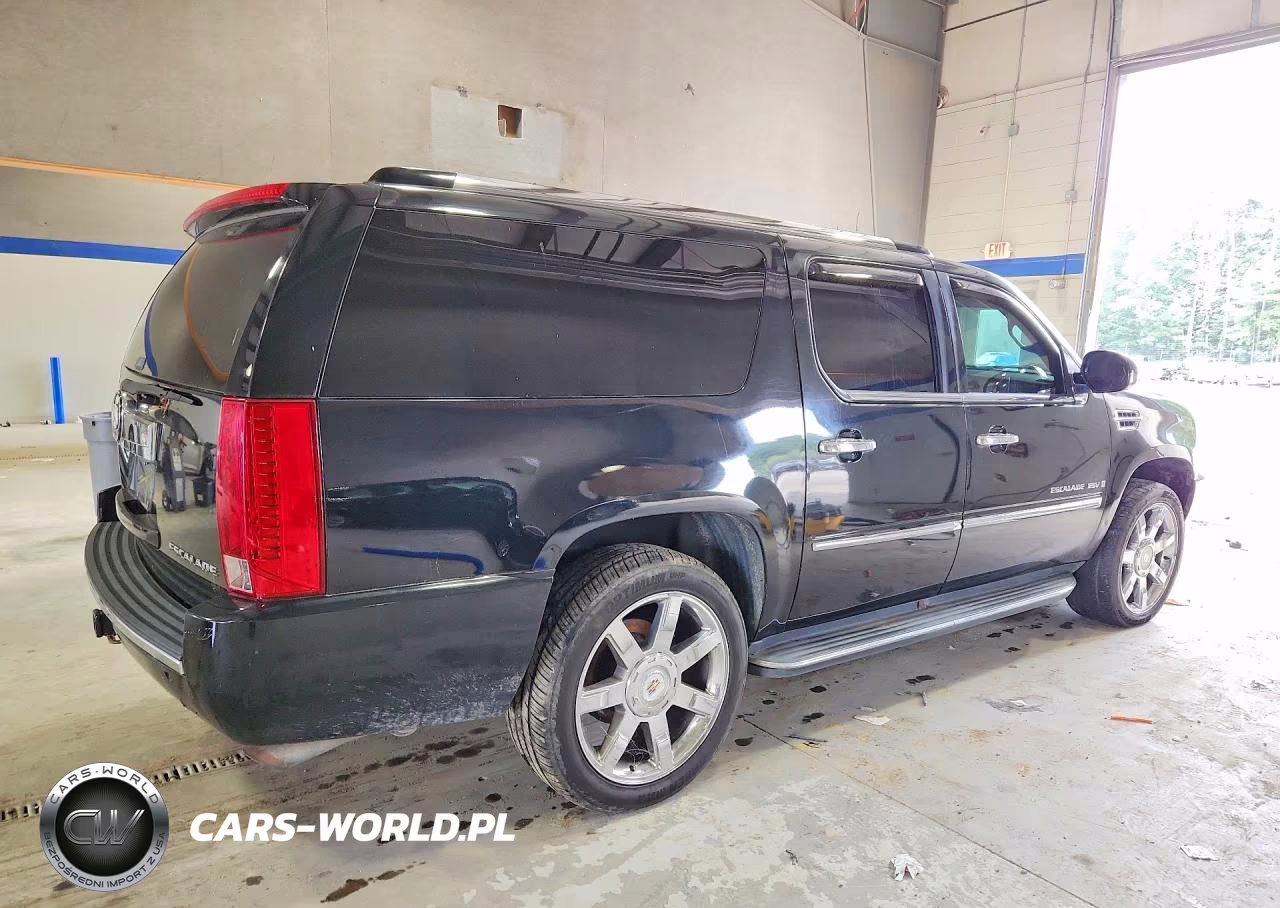 2009 Cadillac Escalade Esv Luxury VIN:1GYFK26239R115221 - 3