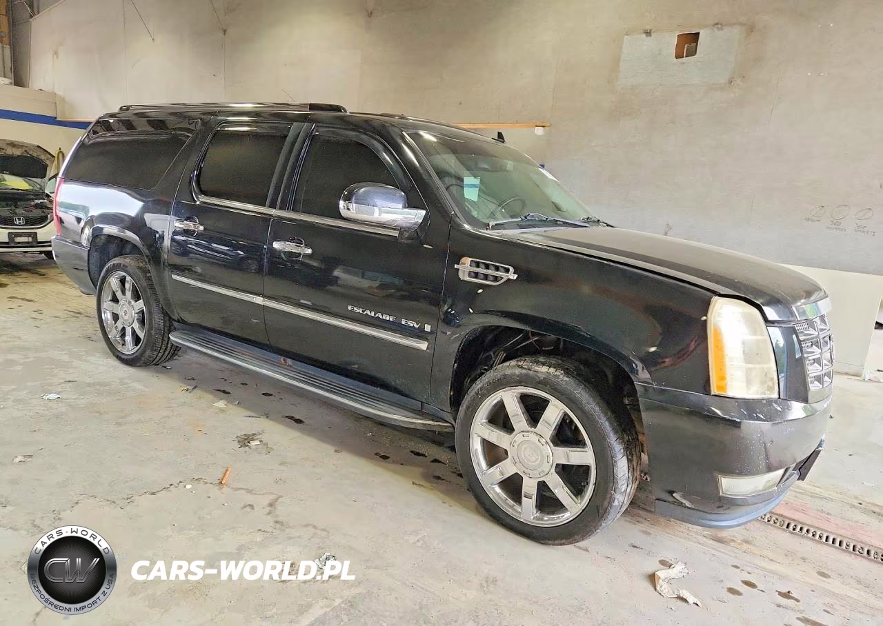 2009 Cadillac Escalade Esv Luxury VIN:1GYFK26239R115221 - 4