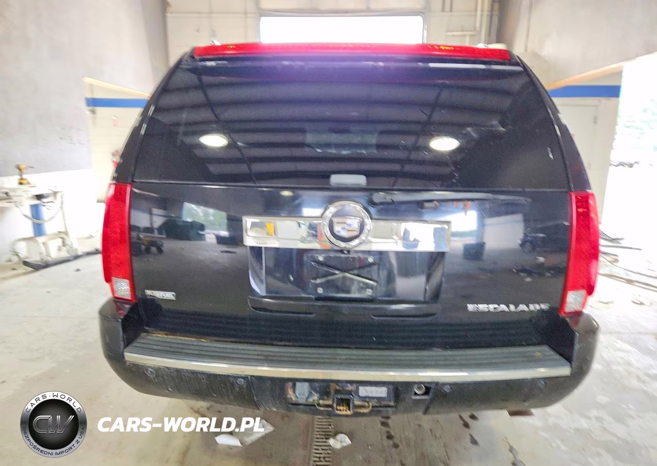 2009 Cadillac Escalade Esv Luxury VIN:1GYFK26239R115221 - 6