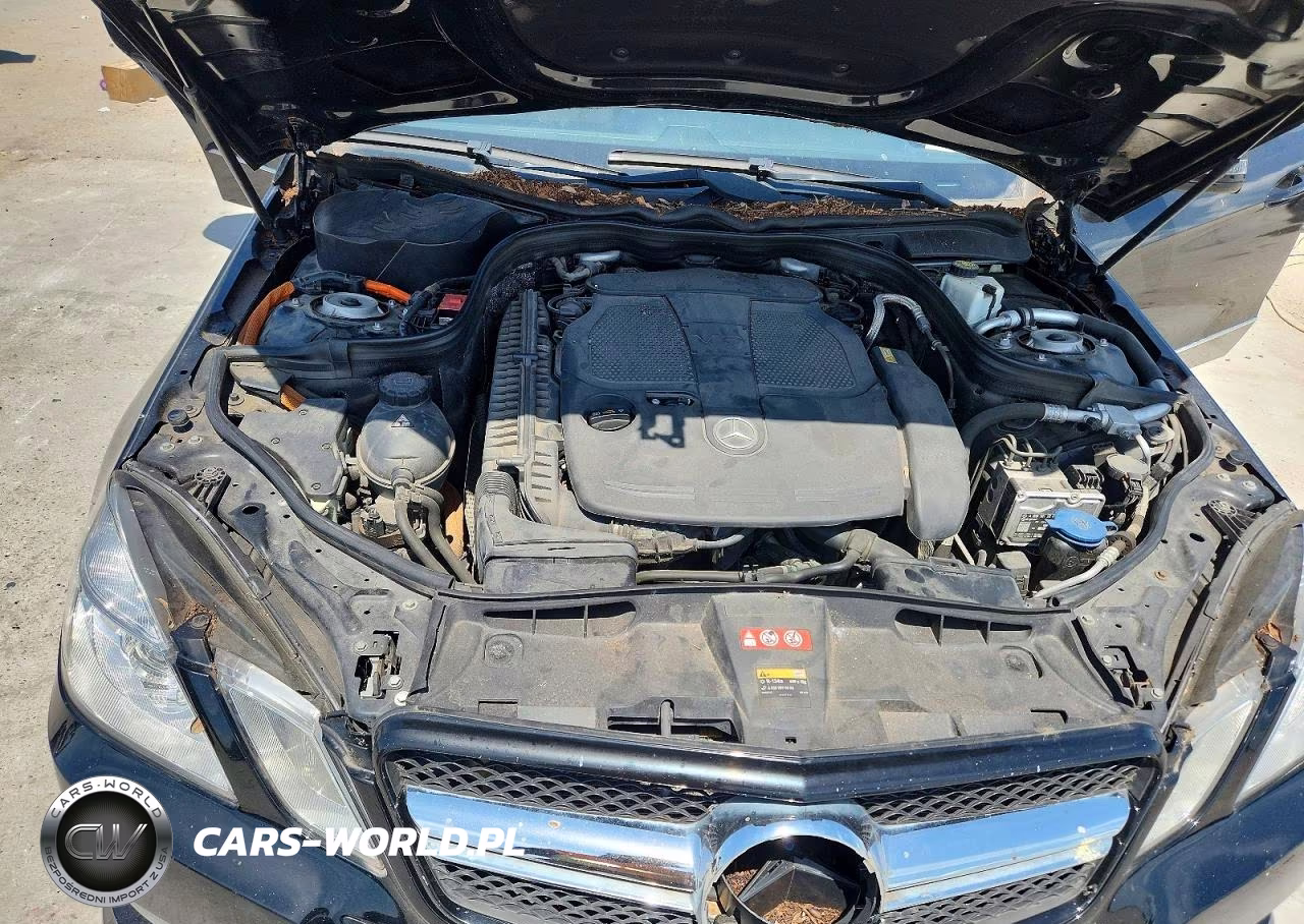 2013 Mercedes-Benz E 400 Hybrid VIN:WDDHF9FB6DA754525 - 11