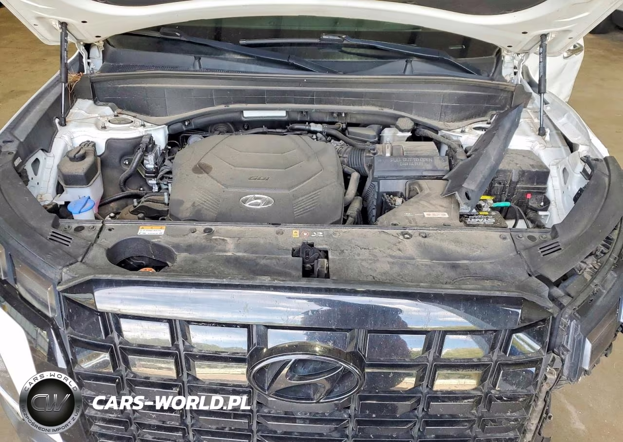 2023 Hyundai Palisade Limited VIN:KM8R5DGE6PU618939 - 12