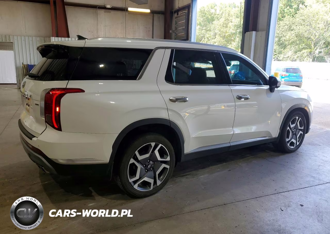 2023 Hyundai Palisade Limited VIN:KM8R5DGE6PU618939 - 3