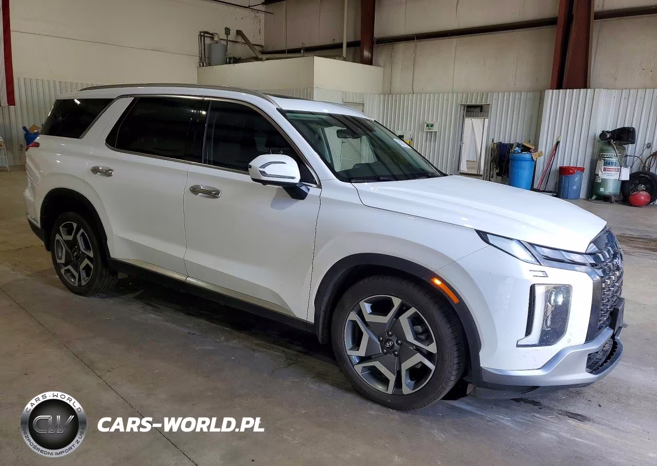 2023 Hyundai Palisade Limited VIN:KM8R5DGE6PU618939 - 4