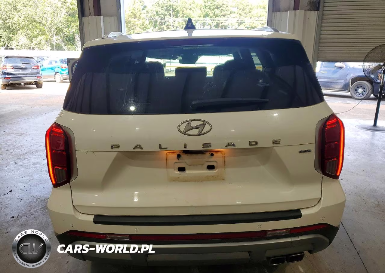 2023 Hyundai Palisade Limited VIN:KM8R5DGE6PU618939 - 6
