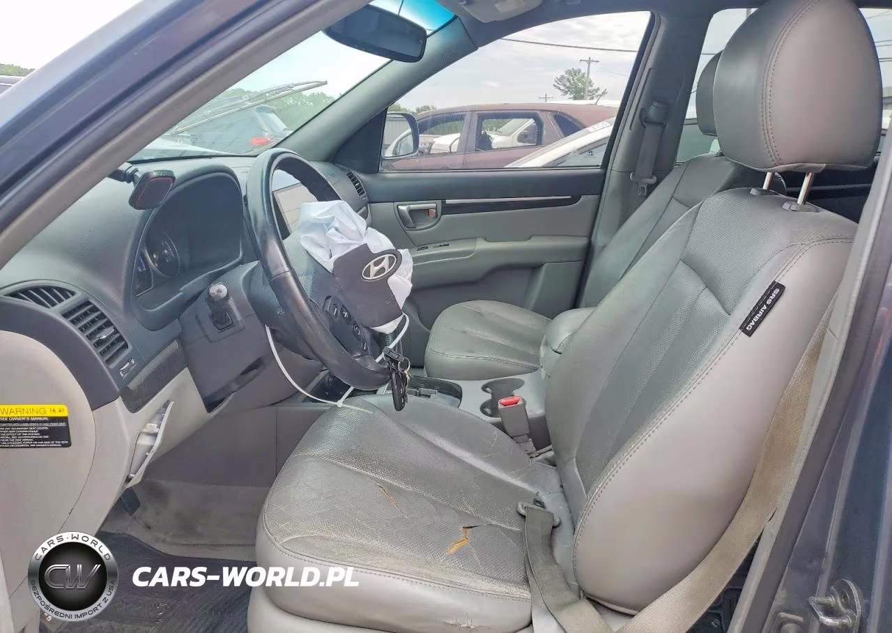 2007 Hyundai Santa Fe Se VIN:5NMSH73E37H119821 - 7