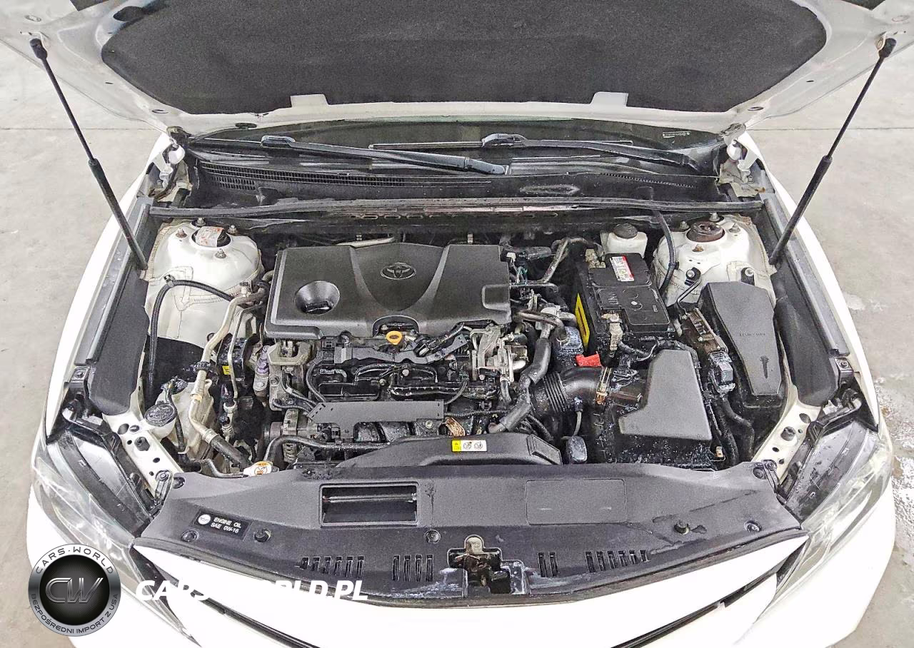 2019 Toyota Camry Le VIN:4T1B11HK1KU256950 - 11