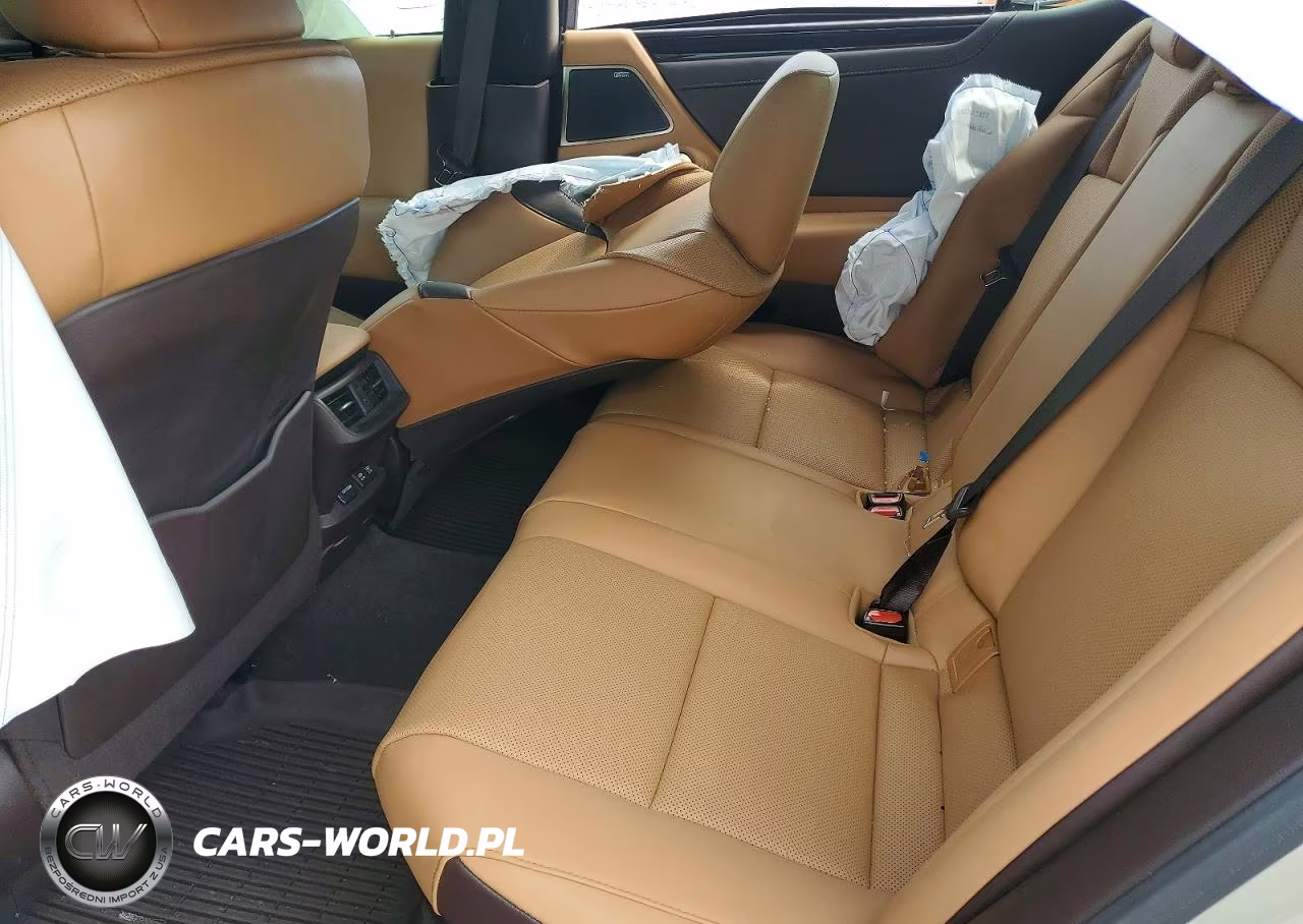 2021 Lexus Es 300H VIN:58ADA1C13MU008752 - 10