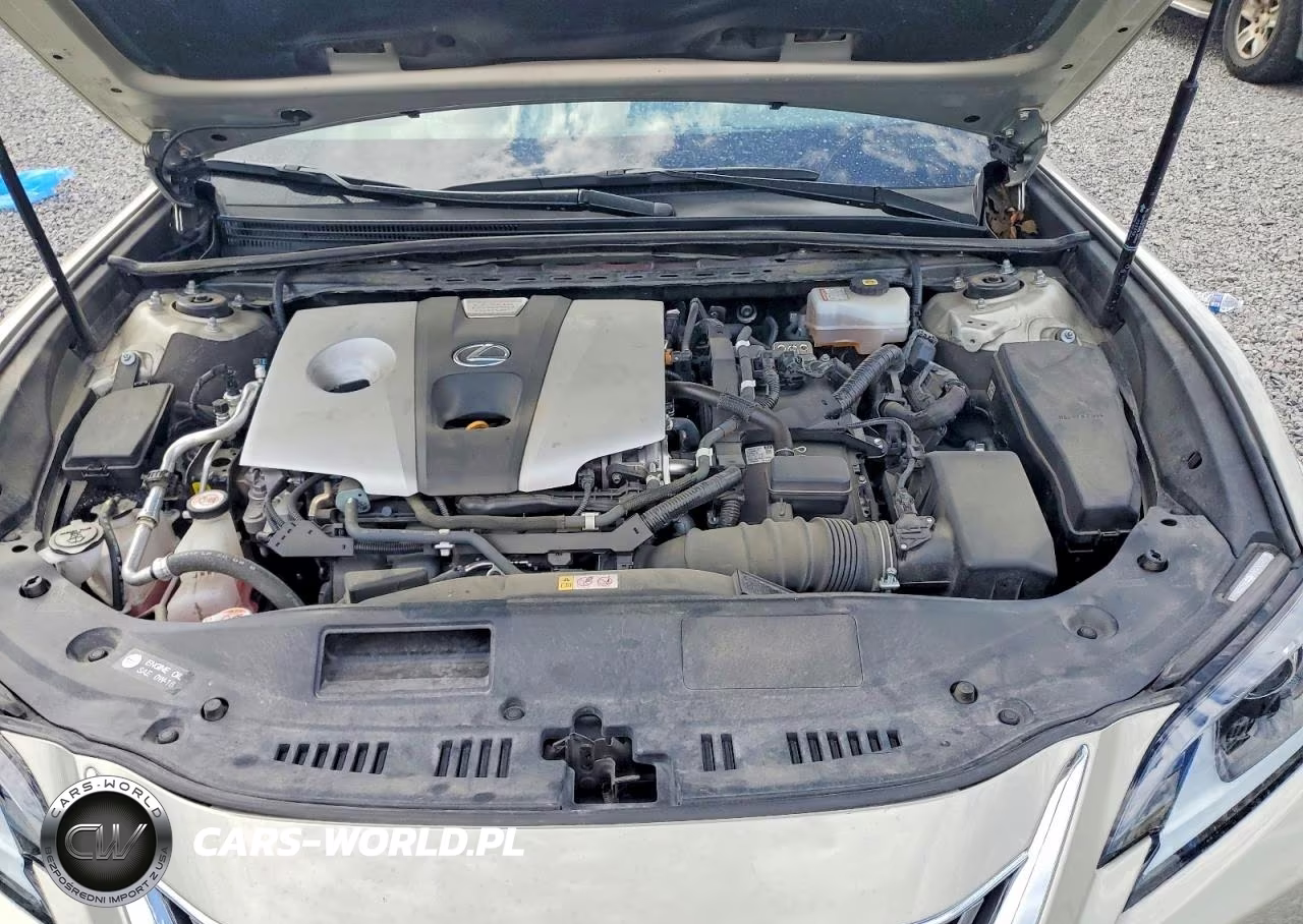 2021 Lexus Es 300H VIN:58ADA1C13MU008752 - 11