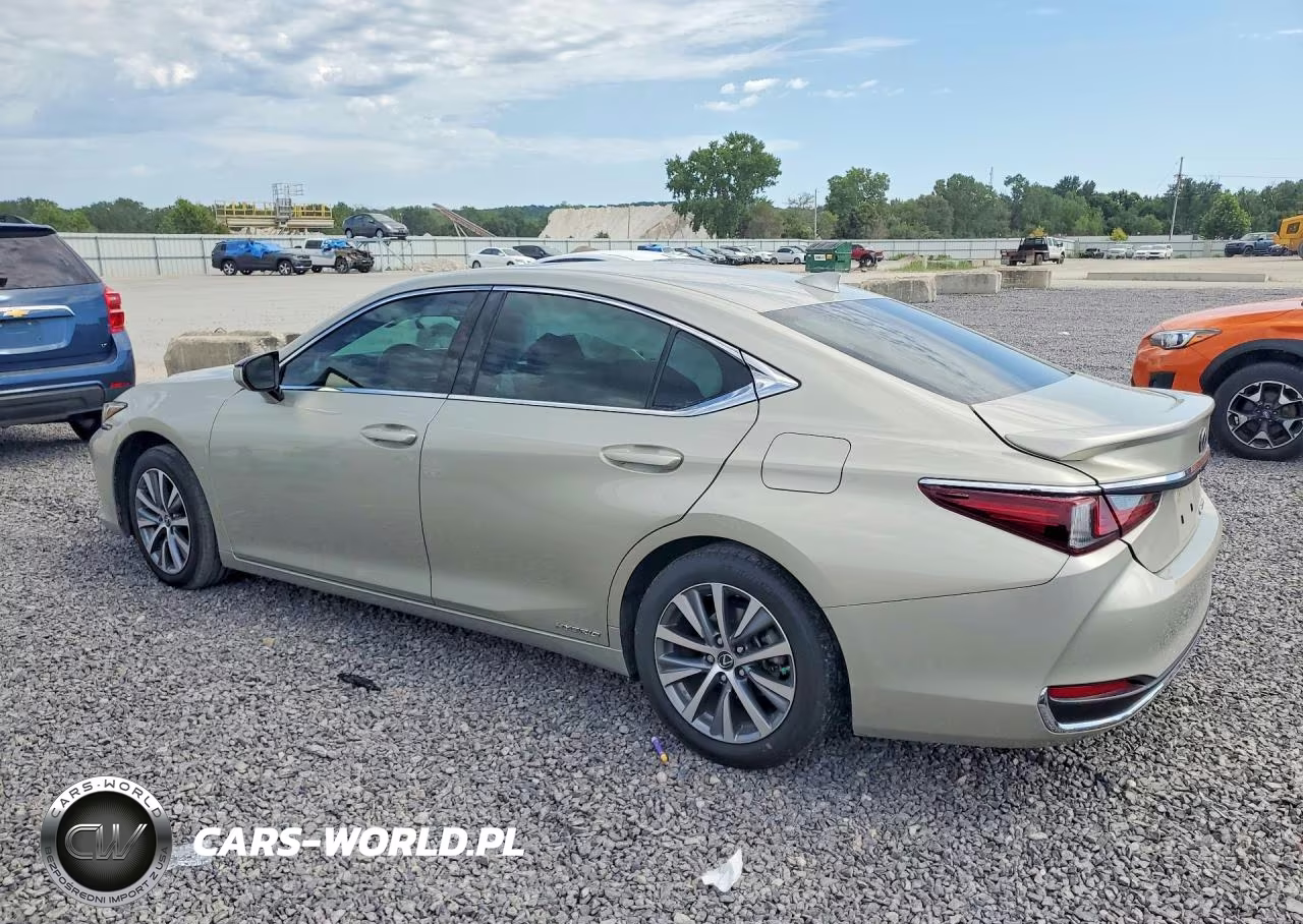 2021 Lexus Es 300H VIN:58ADA1C13MU008752 - 2