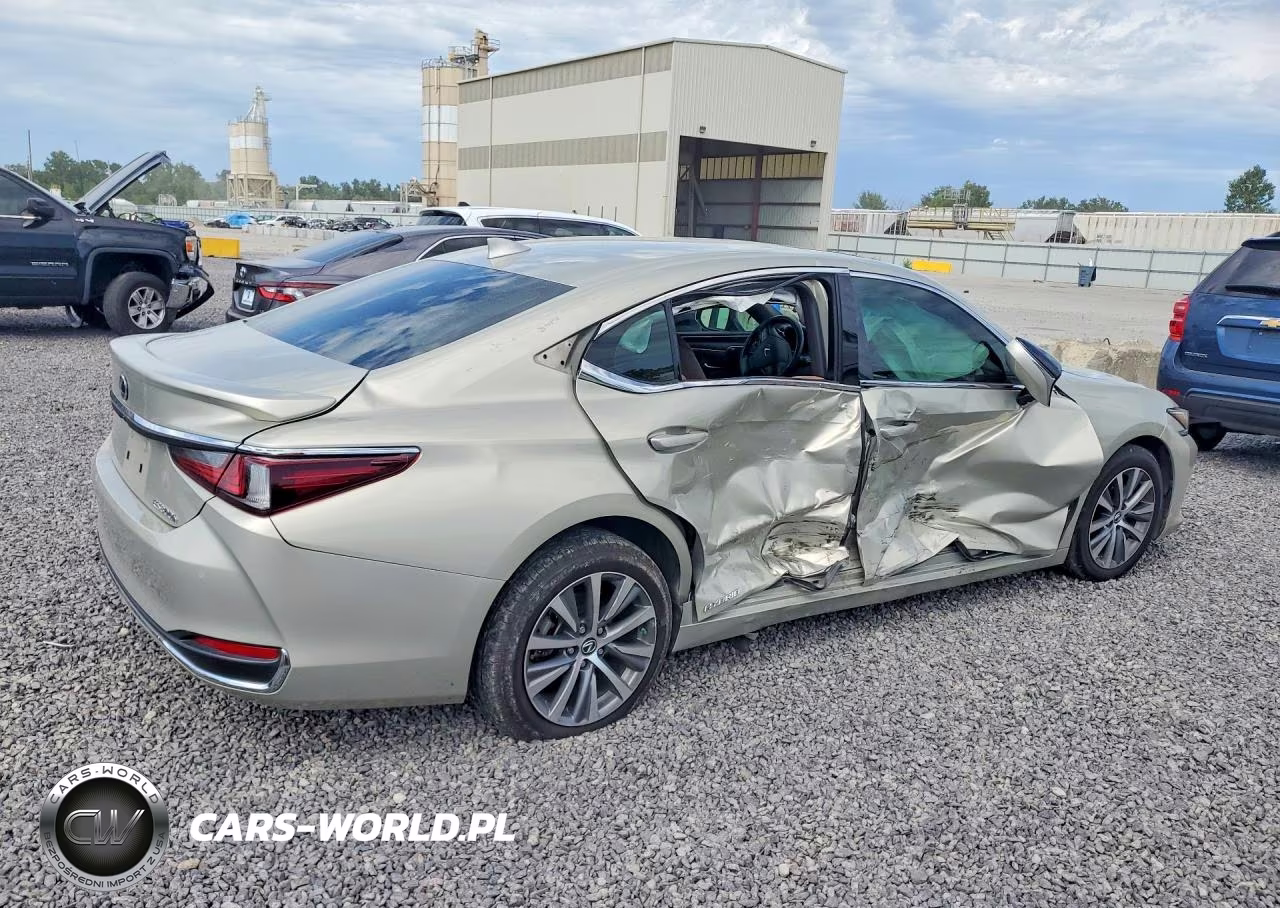 2021 Lexus Es 300H VIN:58ADA1C13MU008752 - 3