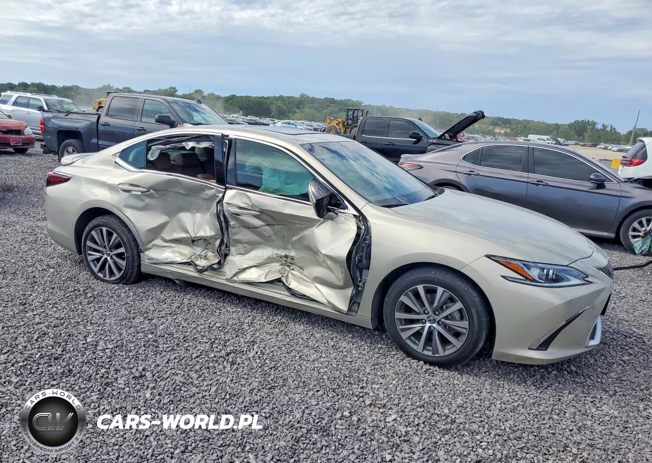 2021 Lexus Es 300H VIN:58ADA1C13MU008752 - 4