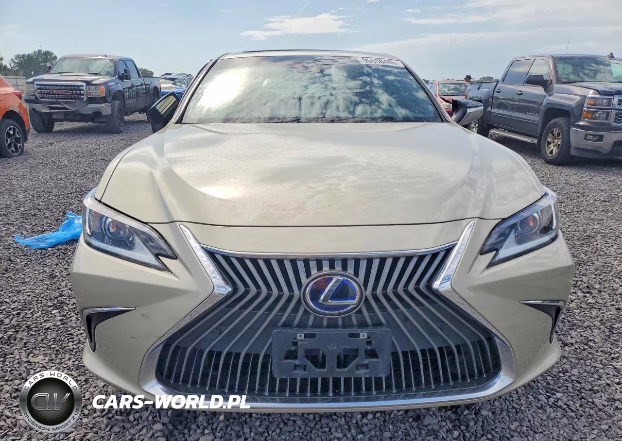 2021 Lexus Es 300H VIN:58ADA1C13MU008752 - 5