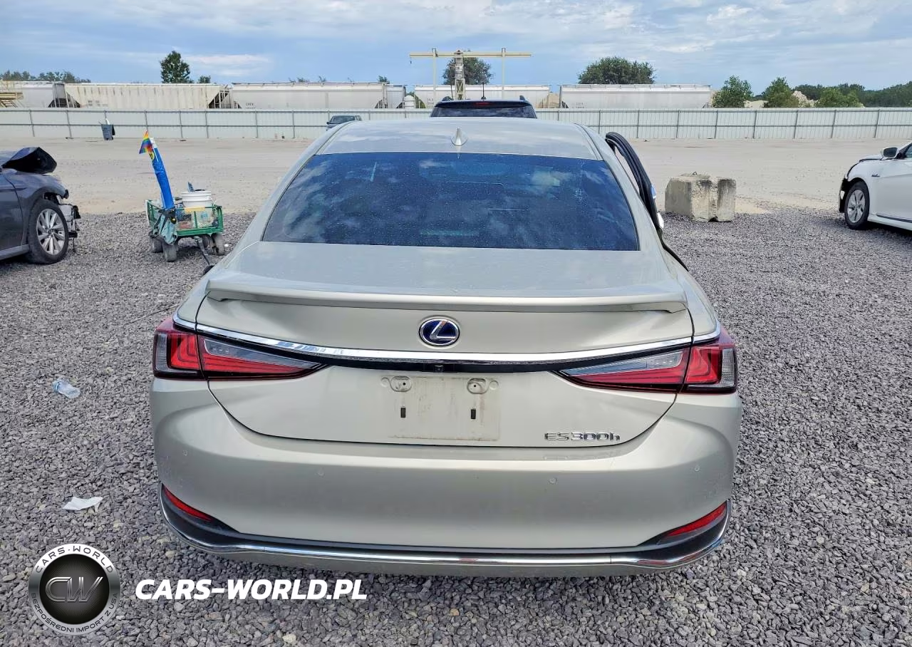2021 Lexus Es 300H VIN:58ADA1C13MU008752 - 6