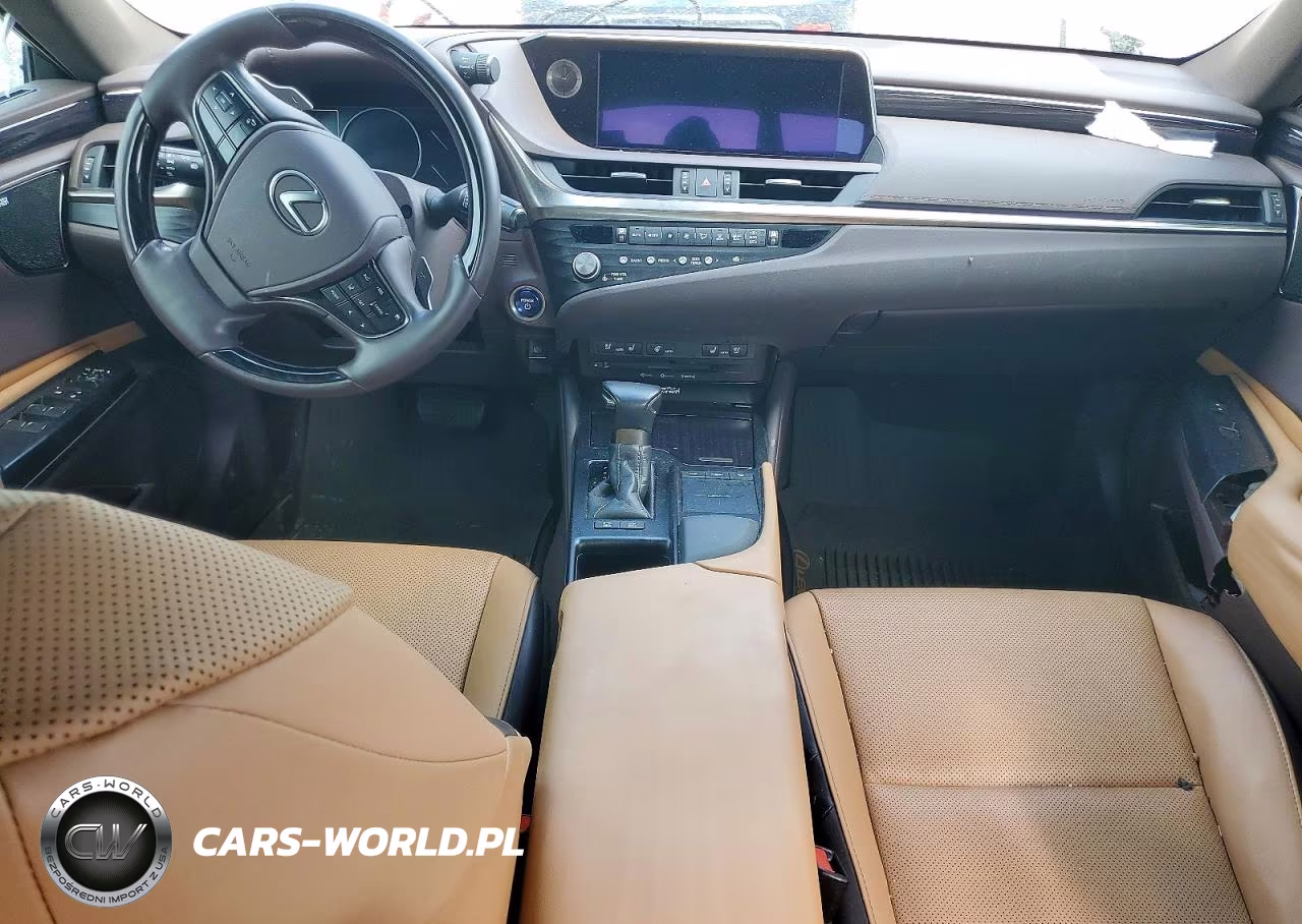 2021 Lexus Es 300H VIN:58ADA1C13MU008752 - 8