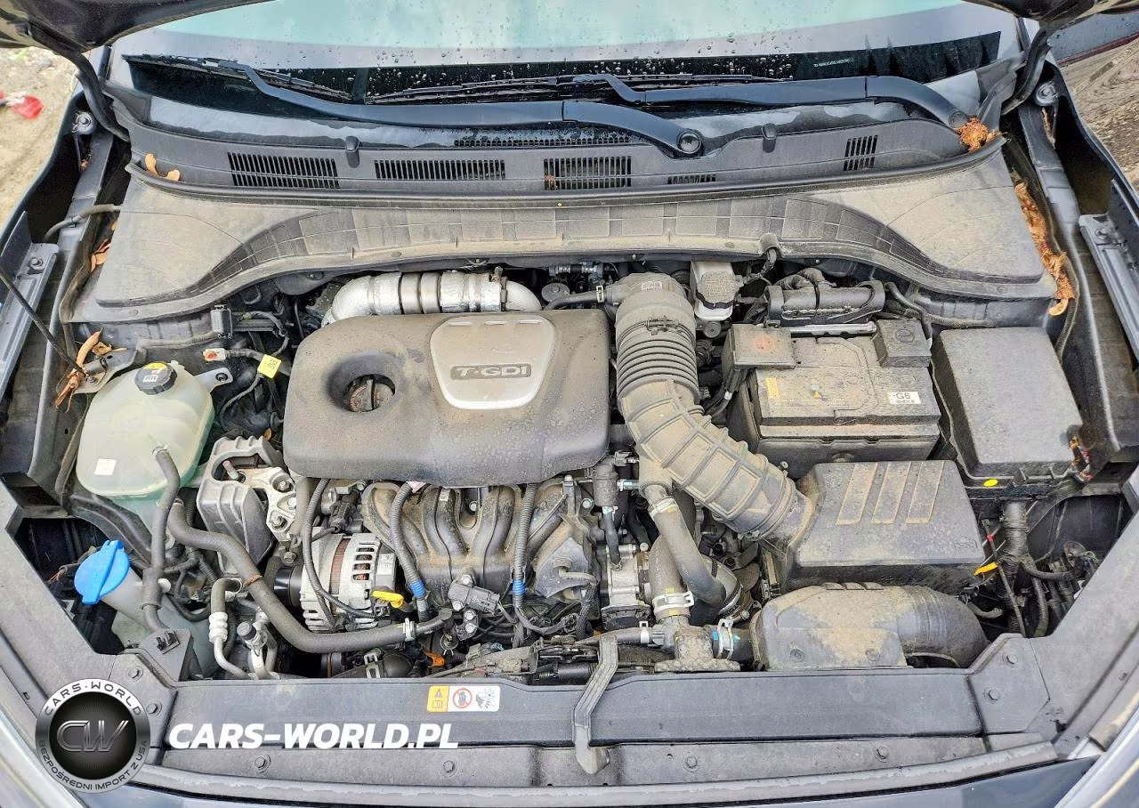 2020 Hyundai Kona Limited VIN:KM8K3CA56LU525780 - 12
