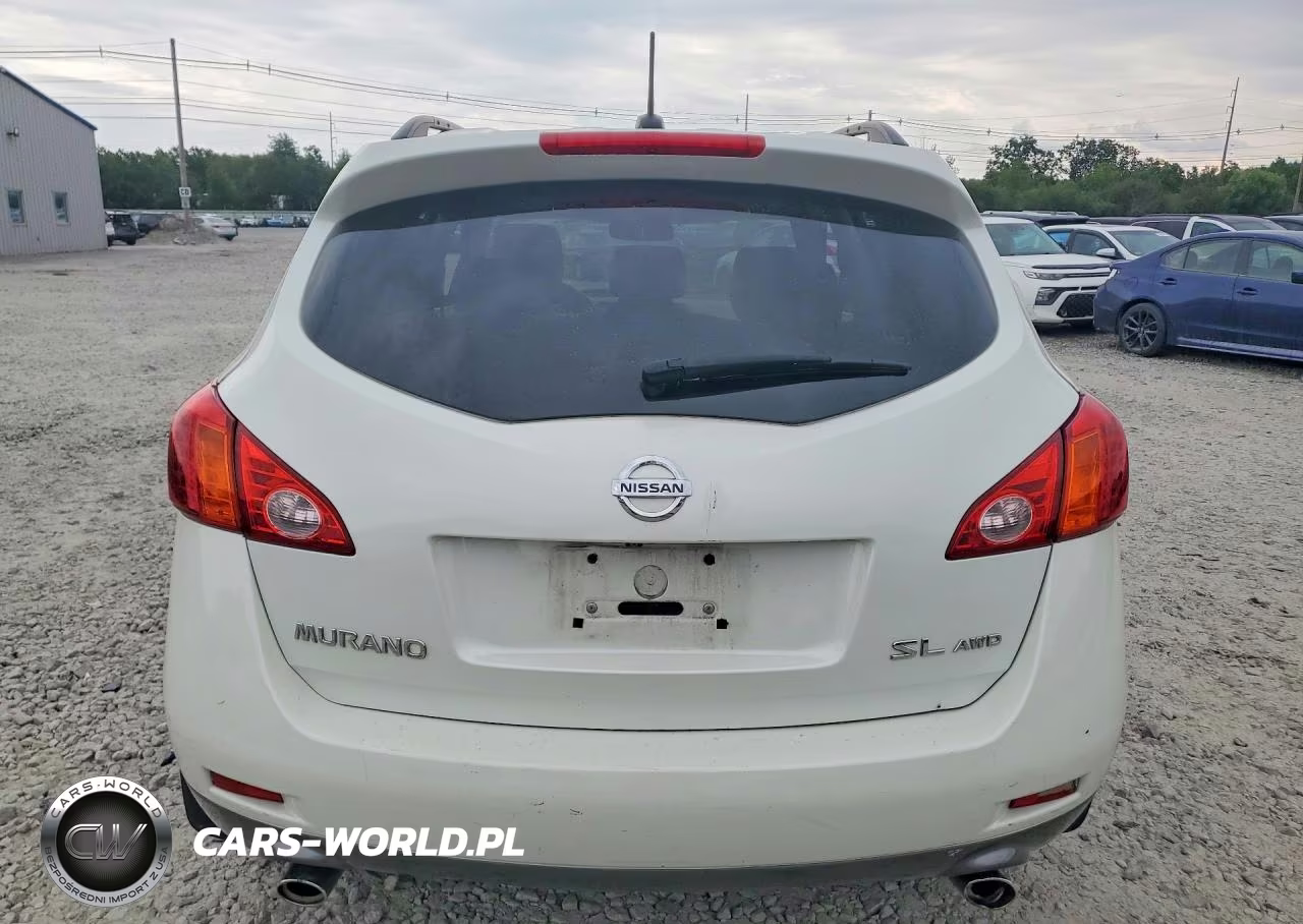 2010 Nissan Murano S VIN:JN8AZ1MW4AW111331 - 6