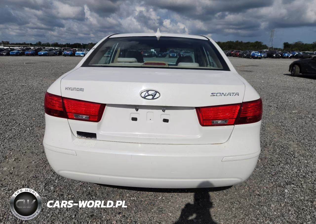 2010 Hyundai Sonata Gls VIN:5NPET4AC7AH629563 - 6