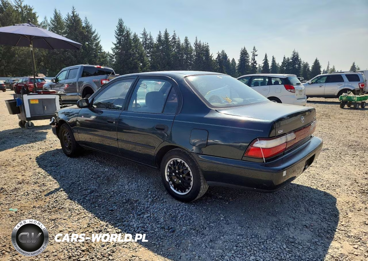 1996 Toyota Corolla Dx VIN:1NXBB02EXTZ370828 - 2