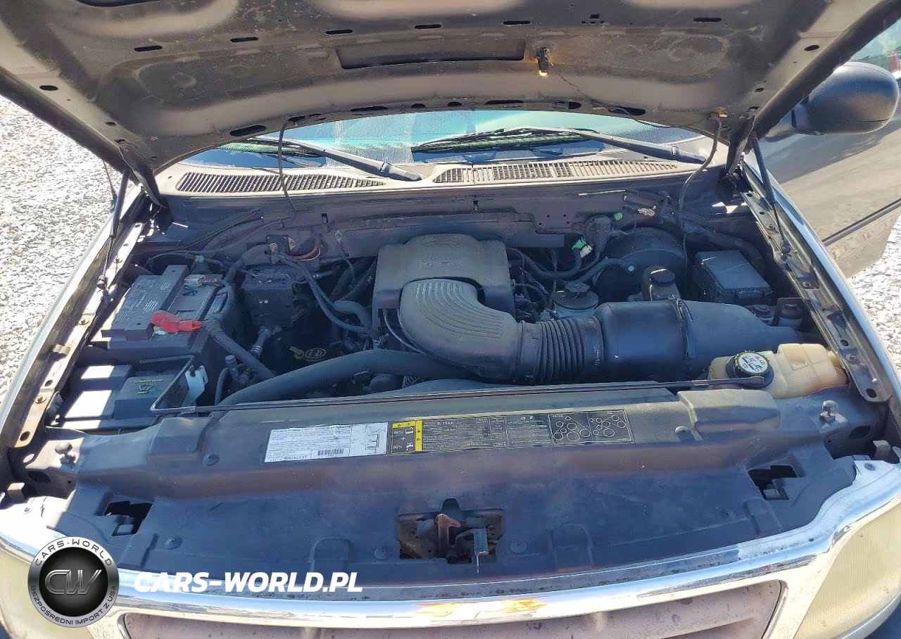 2003 Ford F150 VIN:1FTRF17W13NB73975 - 11
