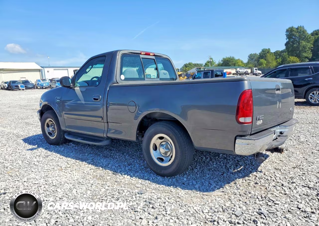 2003 Ford F150 VIN:1FTRF17W13NB73975 - 2