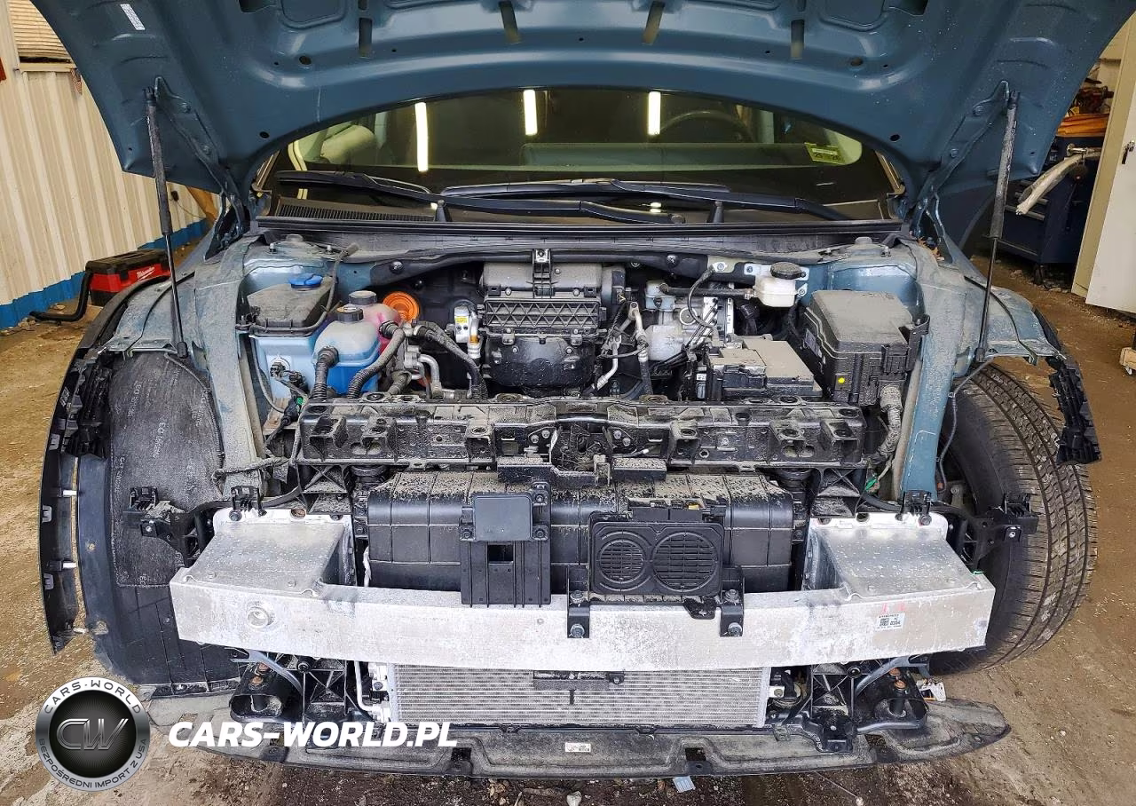 2024 Hyundai Ioniq 5 Se VIN:KM8KM4DE8RU238819 - 12