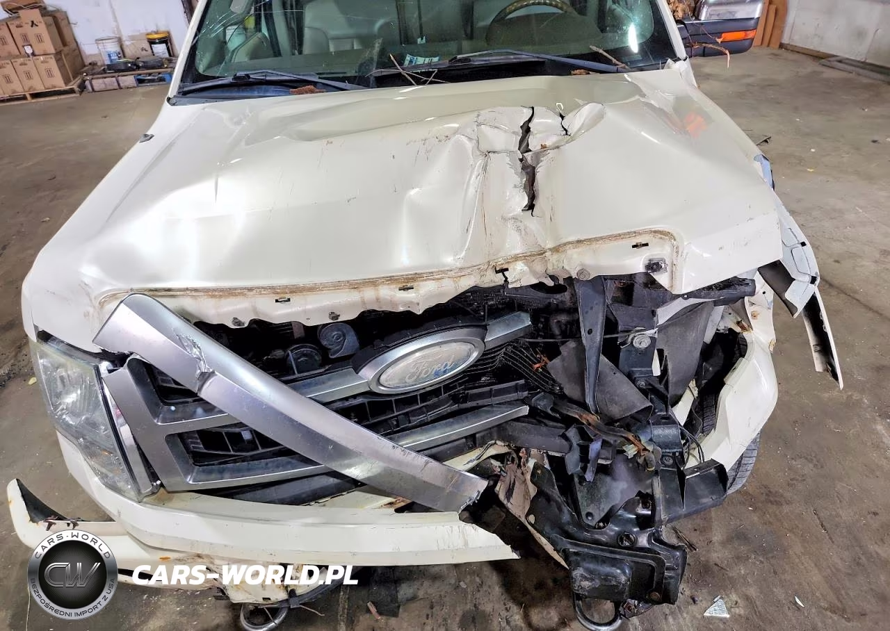 2009 Ford F150 Supercrew VIN:1FTPW14V09FA57107 - 11
