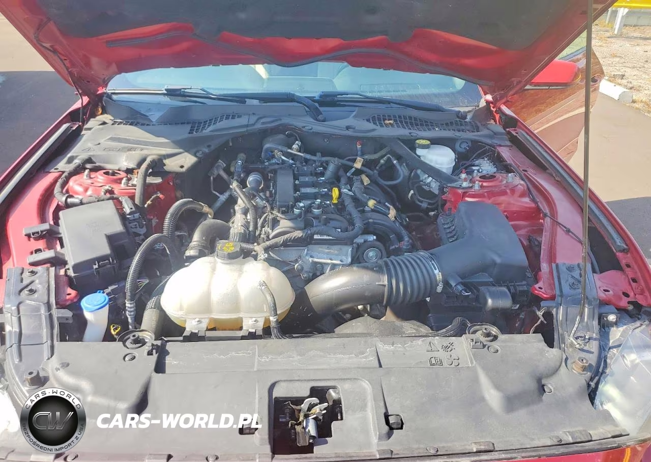 2021 Ford Mustang VIN:1FATP8UH4M5149095 - 11