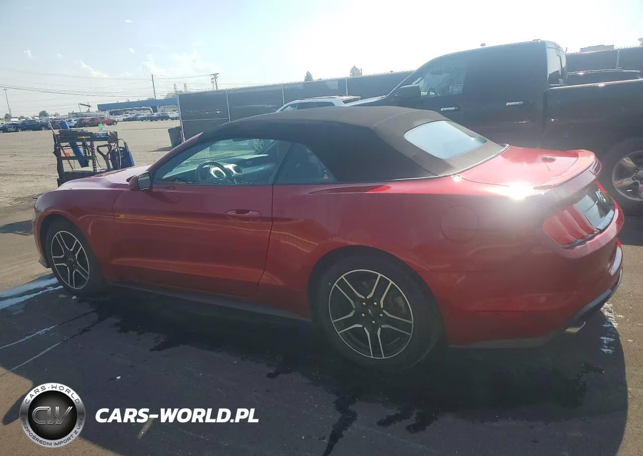 2021 Ford Mustang VIN:1FATP8UH4M5149095 - 2