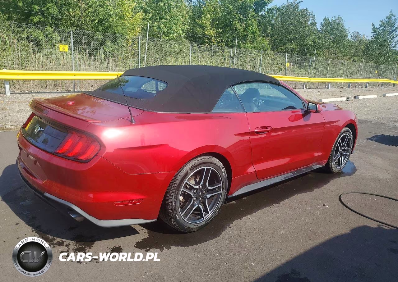 2021 Ford Mustang VIN:1FATP8UH4M5149095 - 3