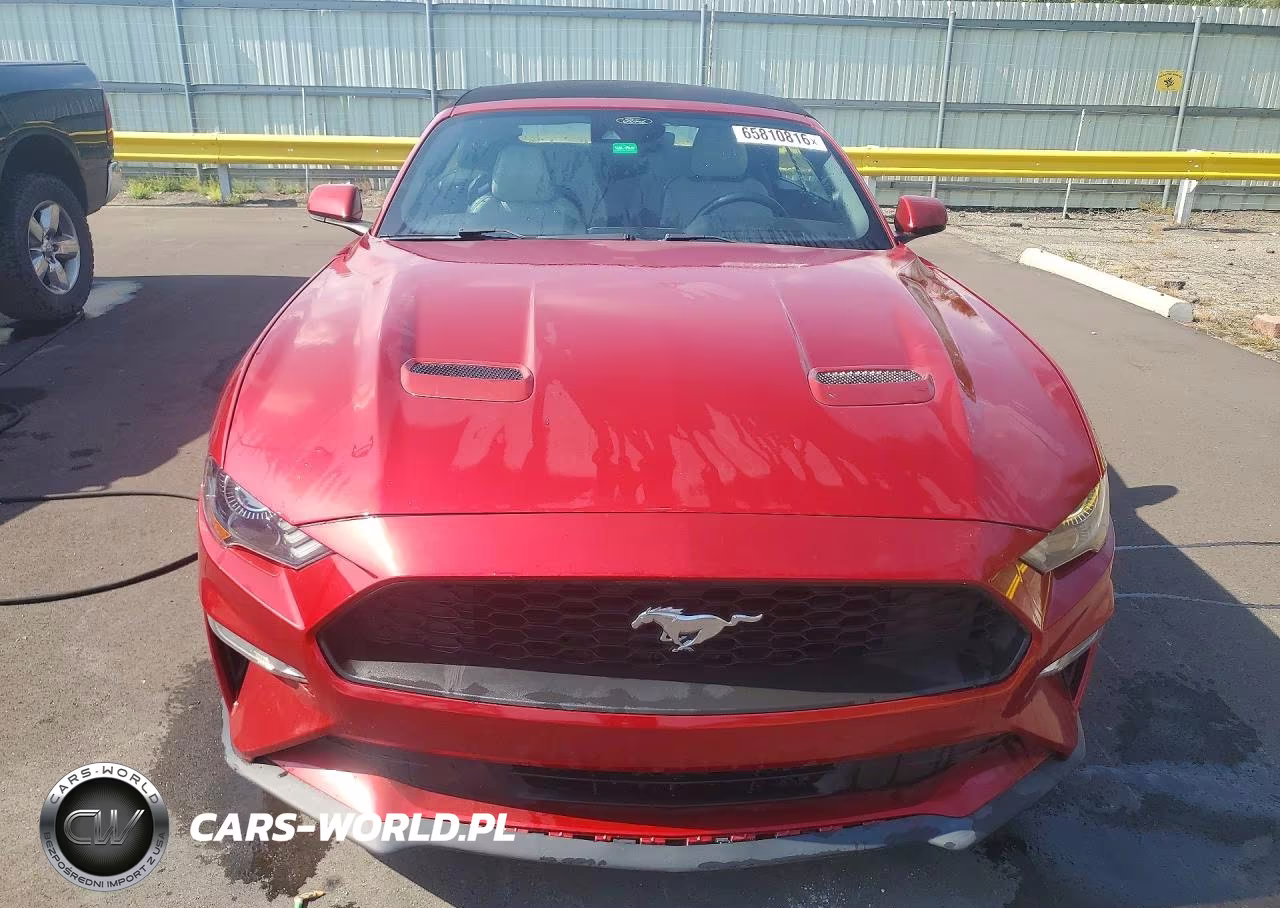 2021 Ford Mustang VIN:1FATP8UH4M5149095 - 5