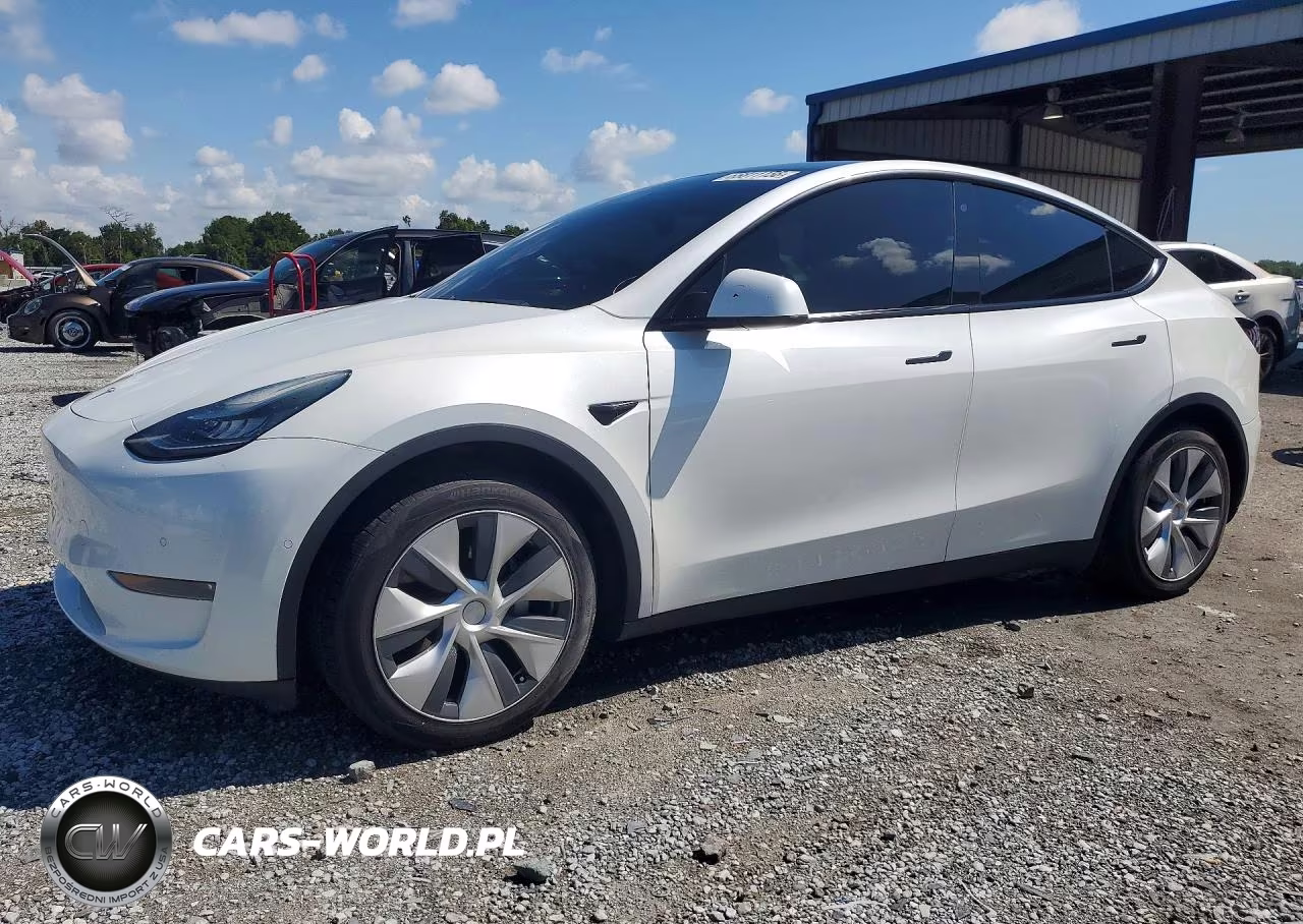 2020 Tesla Model Y