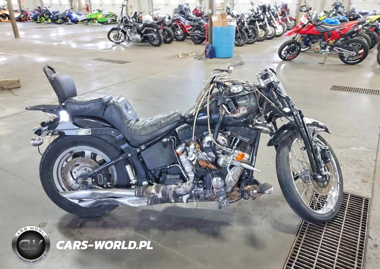 2002 Harley-Davidson Fxstb