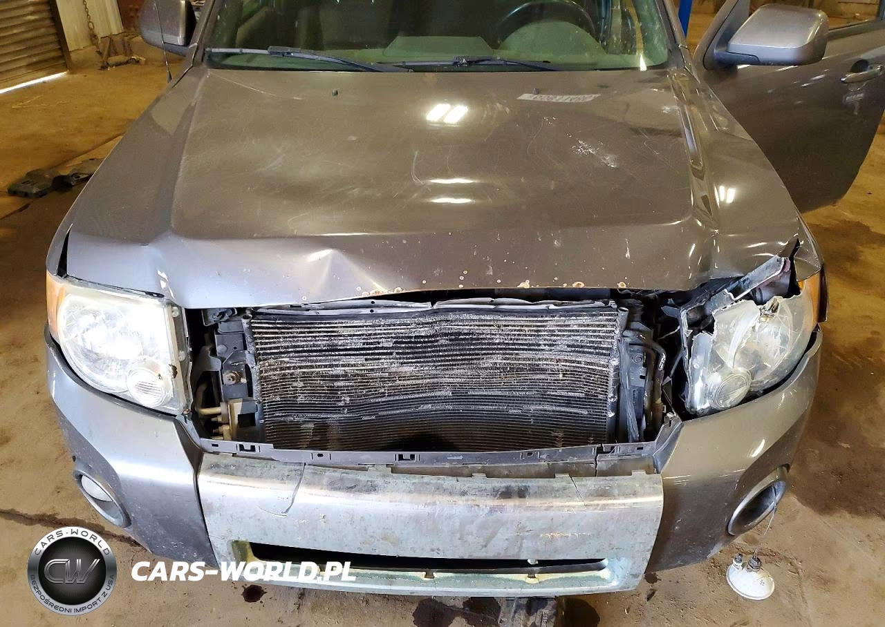 2009 Ford Escape Limited VIN:1FMCU04GX9KD15149 - 11