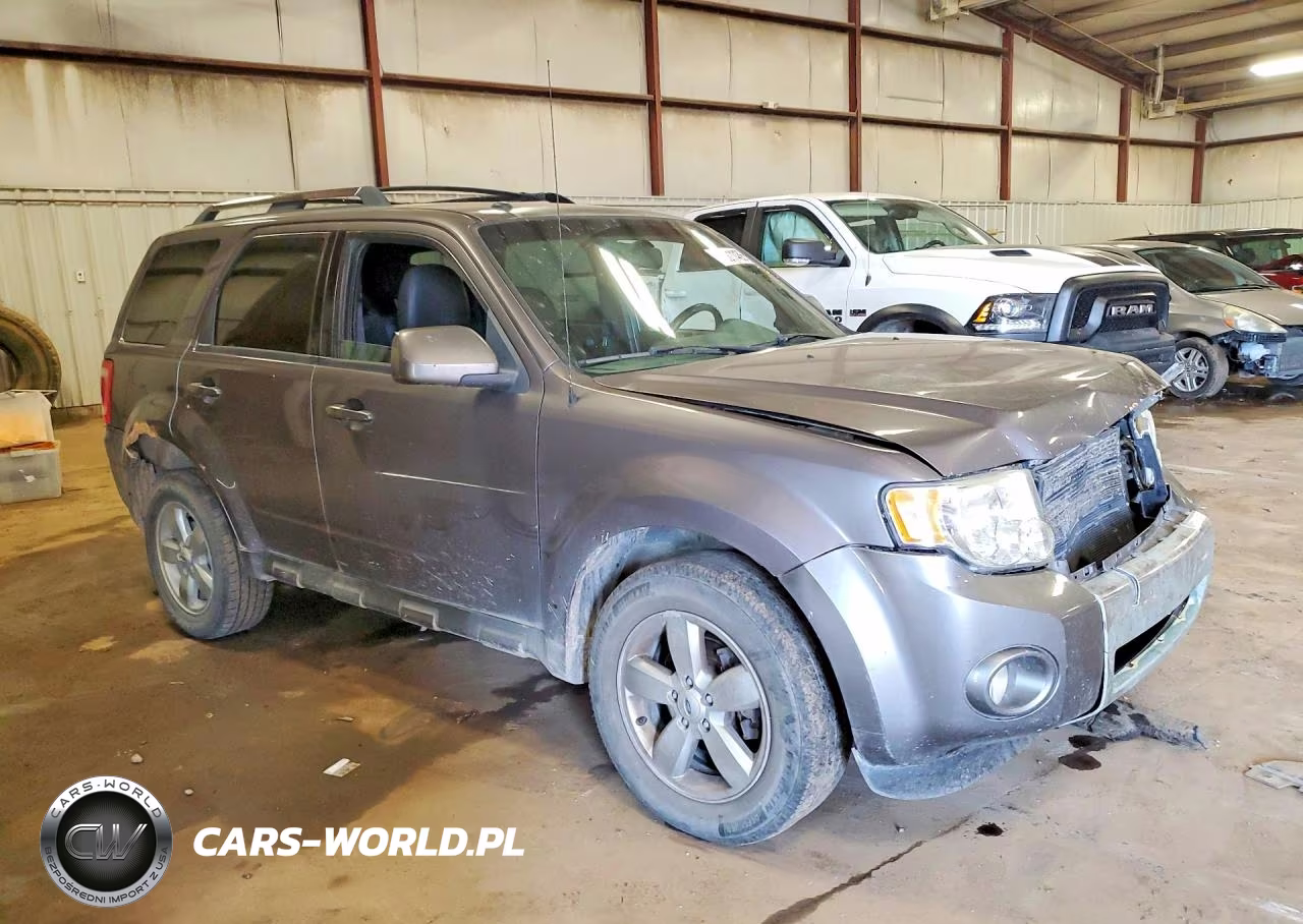 2009 Ford Escape Limited VIN:1FMCU04GX9KD15149 - 4