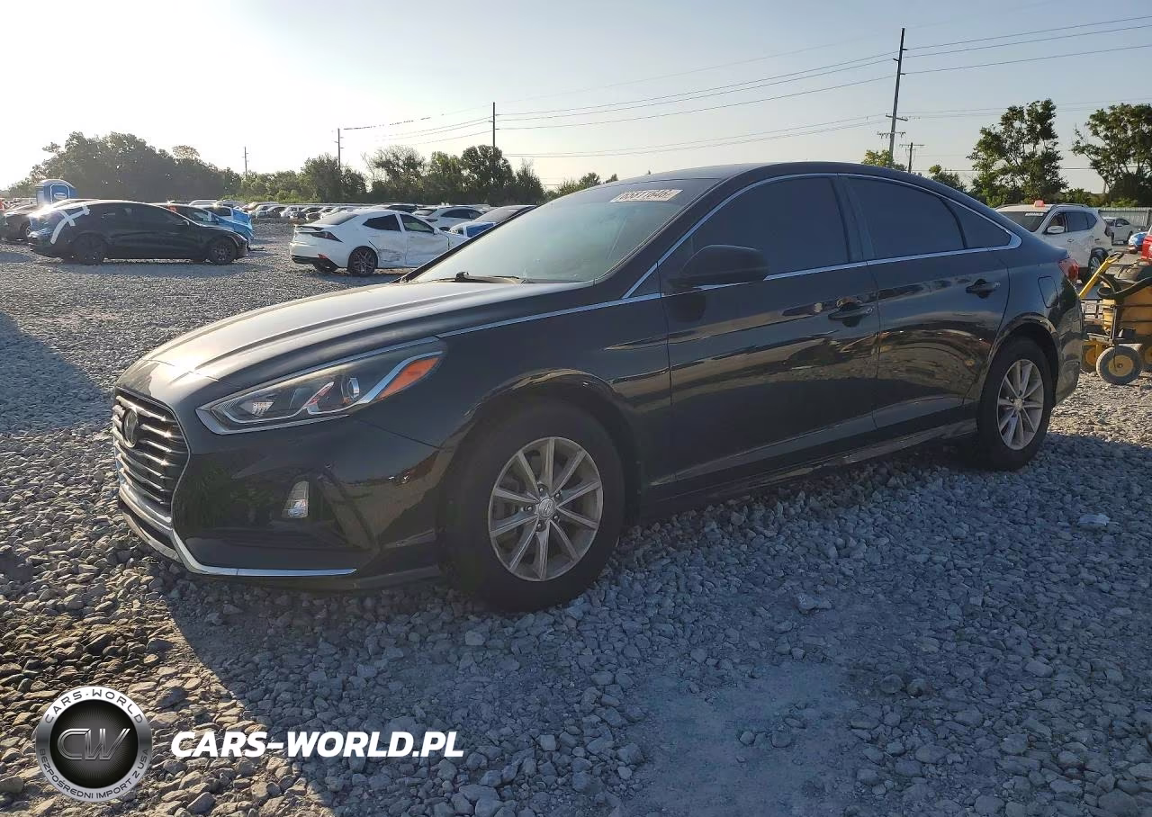 2019 Hyundai Sonata Se VIN:5NPE24AF0KH790478 - 1