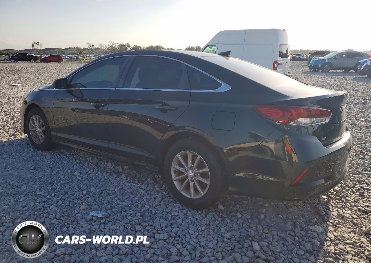 2019 Hyundai Sonata Se VIN:5NPE24AF0KH790478 - 2