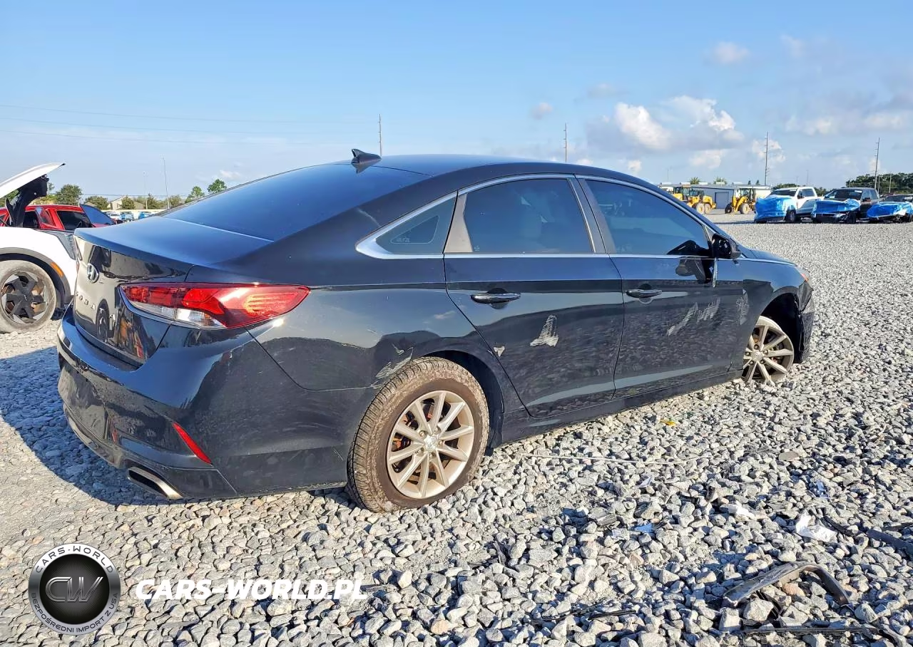 2019 Hyundai Sonata Se VIN:5NPE24AF0KH790478 - 3
