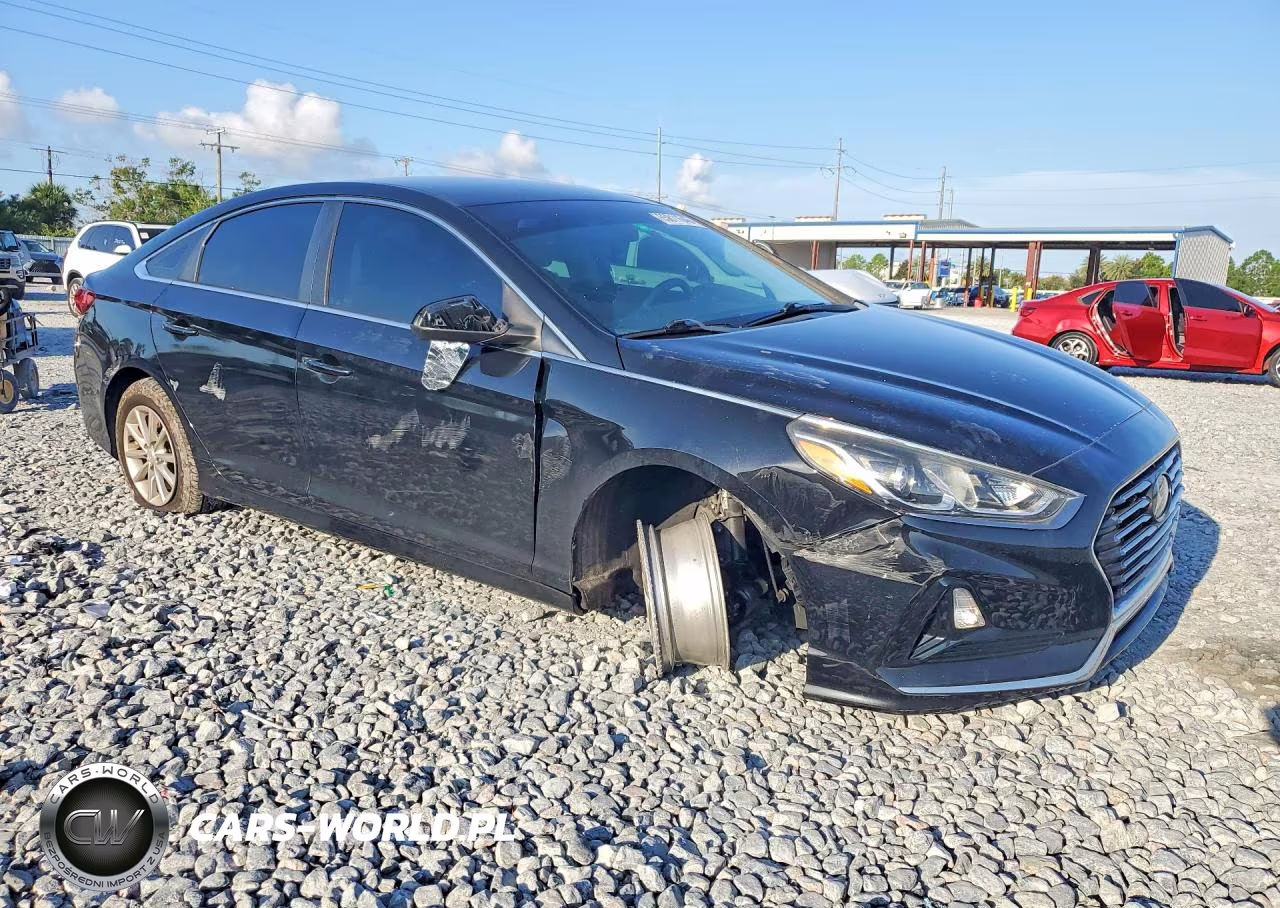 2019 Hyundai Sonata Se VIN:5NPE24AF0KH790478 - 4