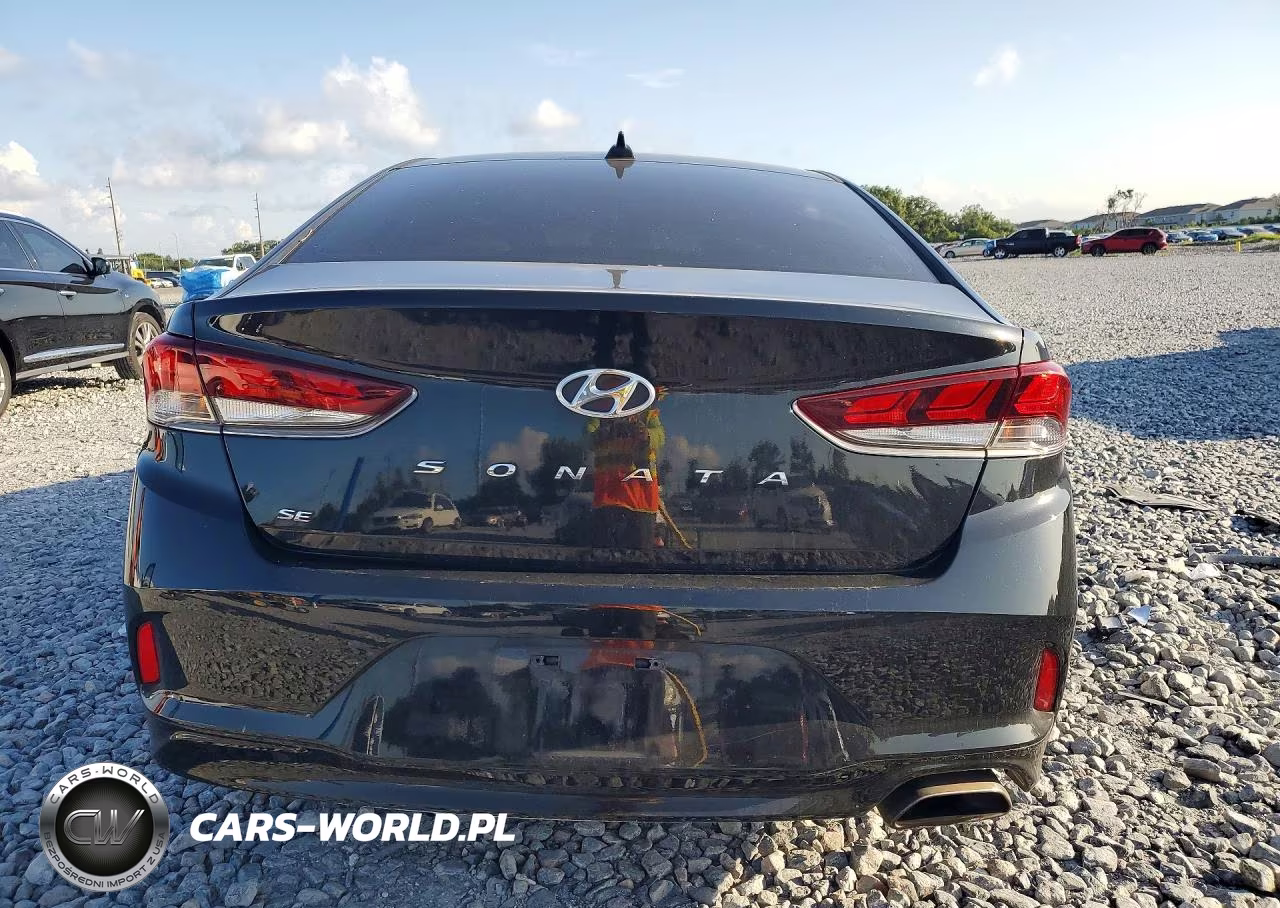 2019 Hyundai Sonata Se VIN:5NPE24AF0KH790478 - 6