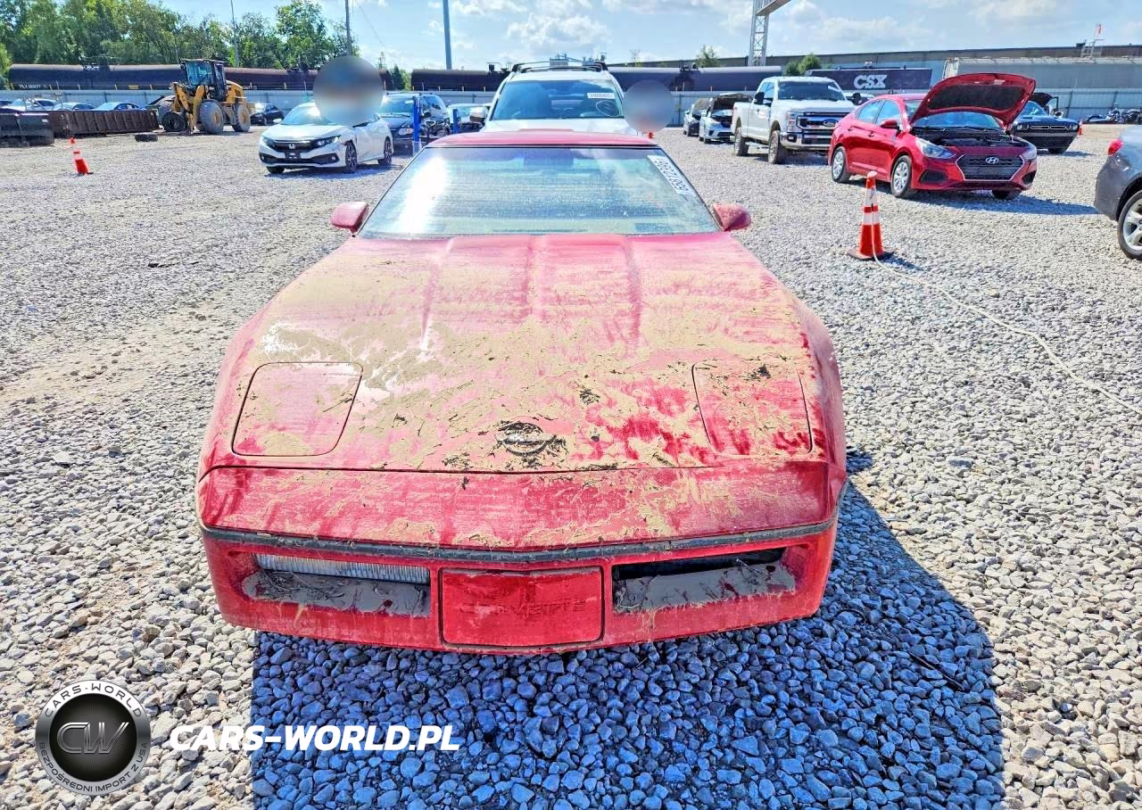 1987 Chevrolet Corvette VIN:1G1YY2186H5126690 - 5
