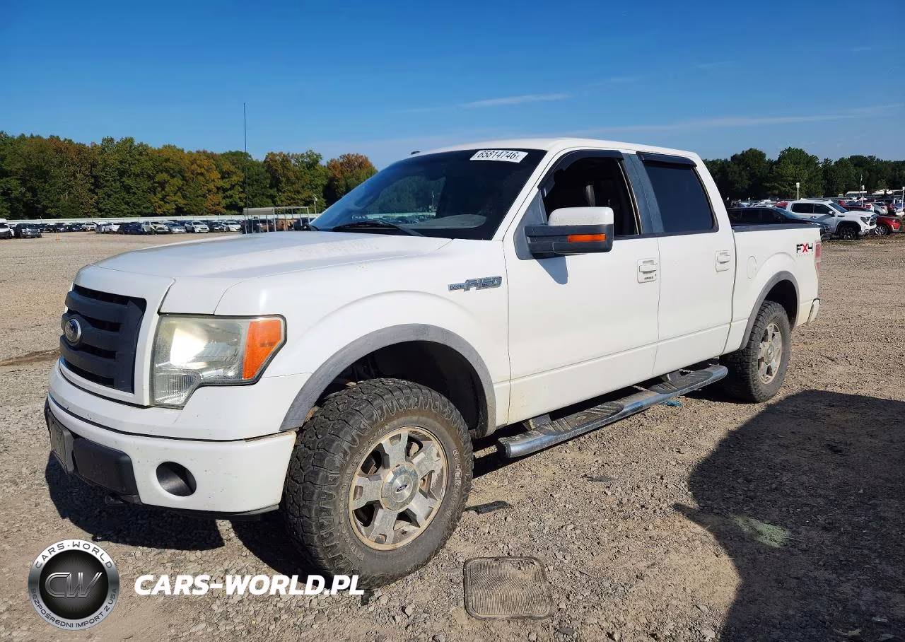 2010 Ford F150 Supercrew VIN:1FTFW1EV3AFA07400 - 1